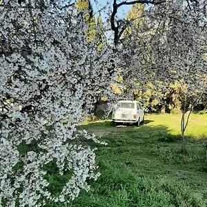 https://domo-mia.in-sardinia.net